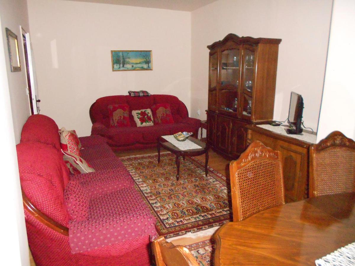 Apartament Apartman "Dom Stankovica" Pirot Zewnętrze zdjęcie