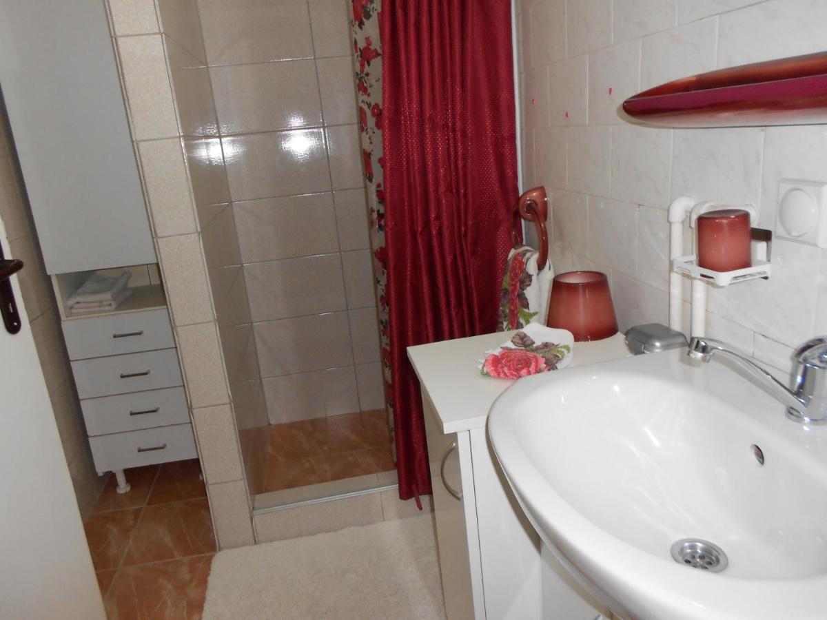 Apartament Apartman "Dom Stankovica" Pirot Zewnętrze zdjęcie