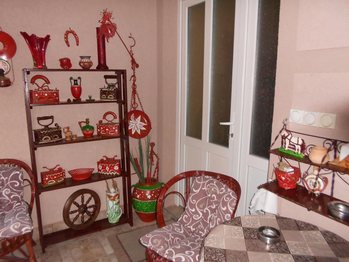 Apartman "Dom Stankovica" Pirot Zewnętrze zdjęcie
