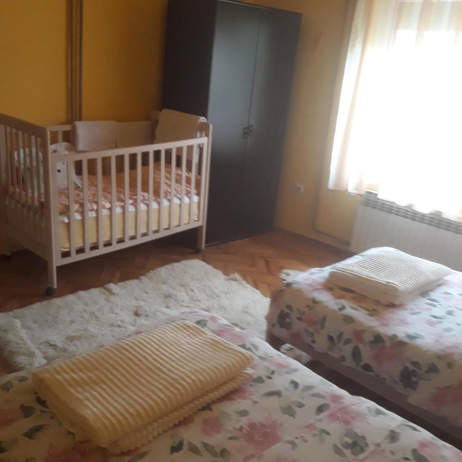 Apartament Apartman "Dom Stankovica" Pirot Zewnętrze zdjęcie