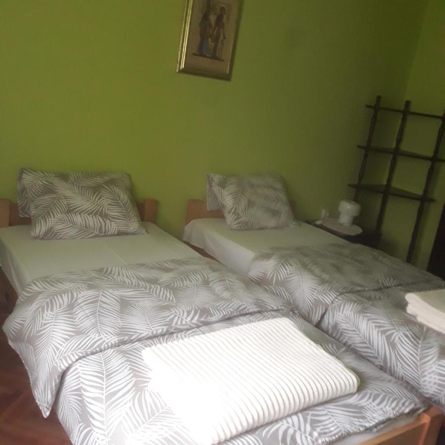 Apartman "Dom Stankovica" Pirot Zewnętrze zdjęcie