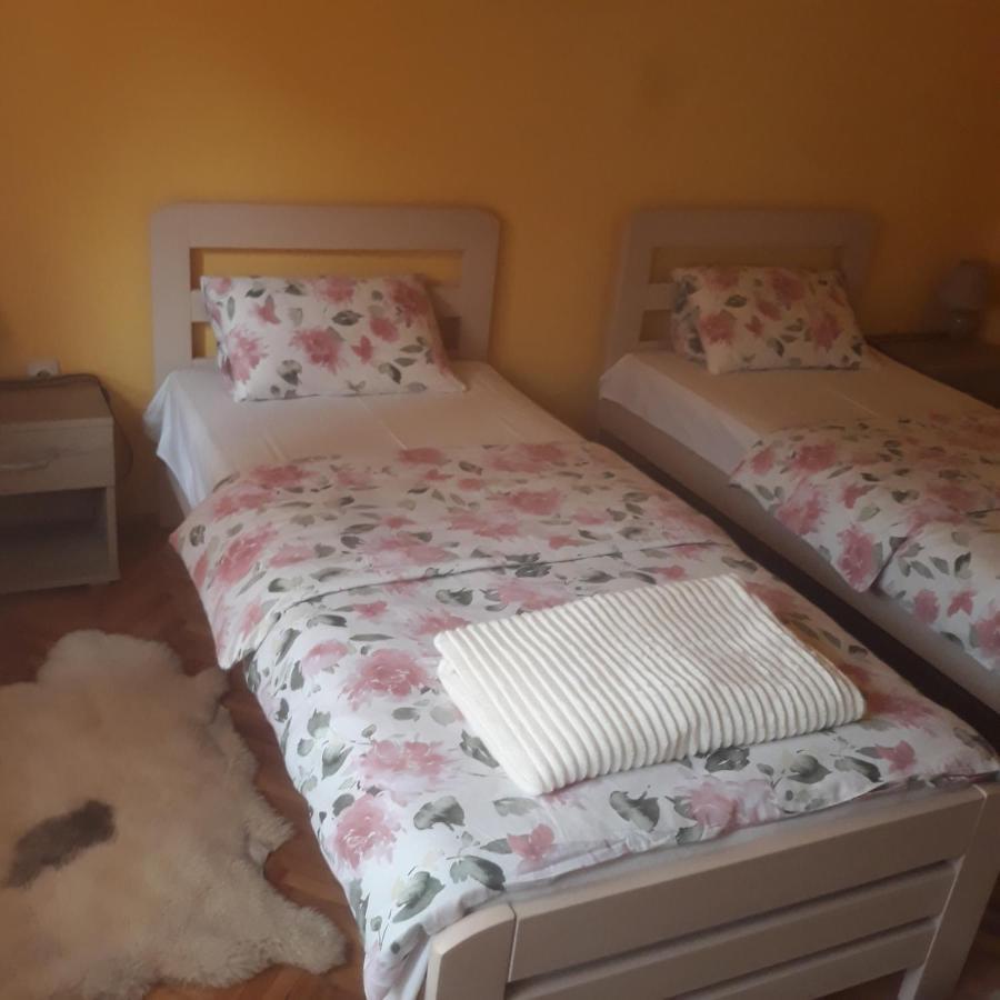 Apartament Apartman "Dom Stankovica" Pirot Zewnętrze zdjęcie