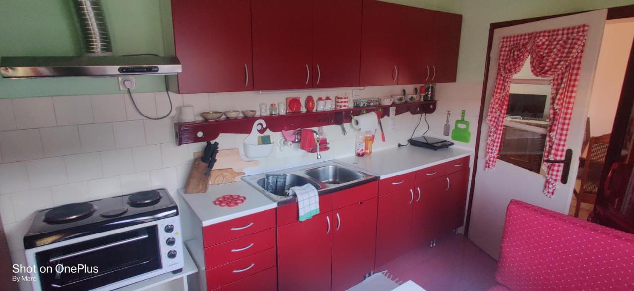 Apartament Apartman "Dom Stankovica" Pirot Zewnętrze zdjęcie