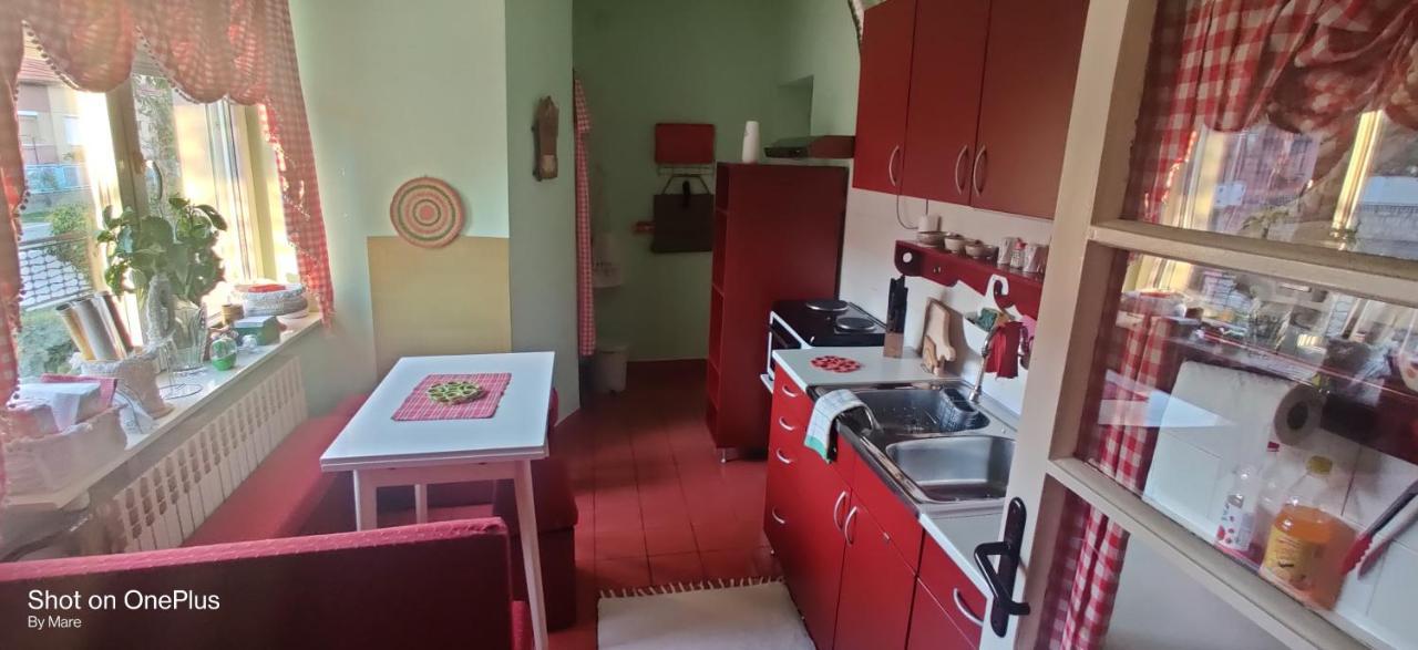 Apartament Apartman "Dom Stankovica" Pirot Zewnętrze zdjęcie