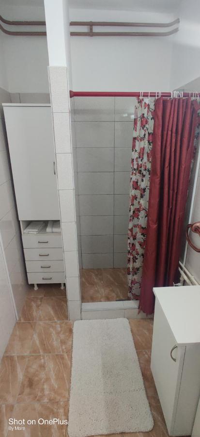 Apartament Apartman "Dom Stankovica" Pirot Zewnętrze zdjęcie