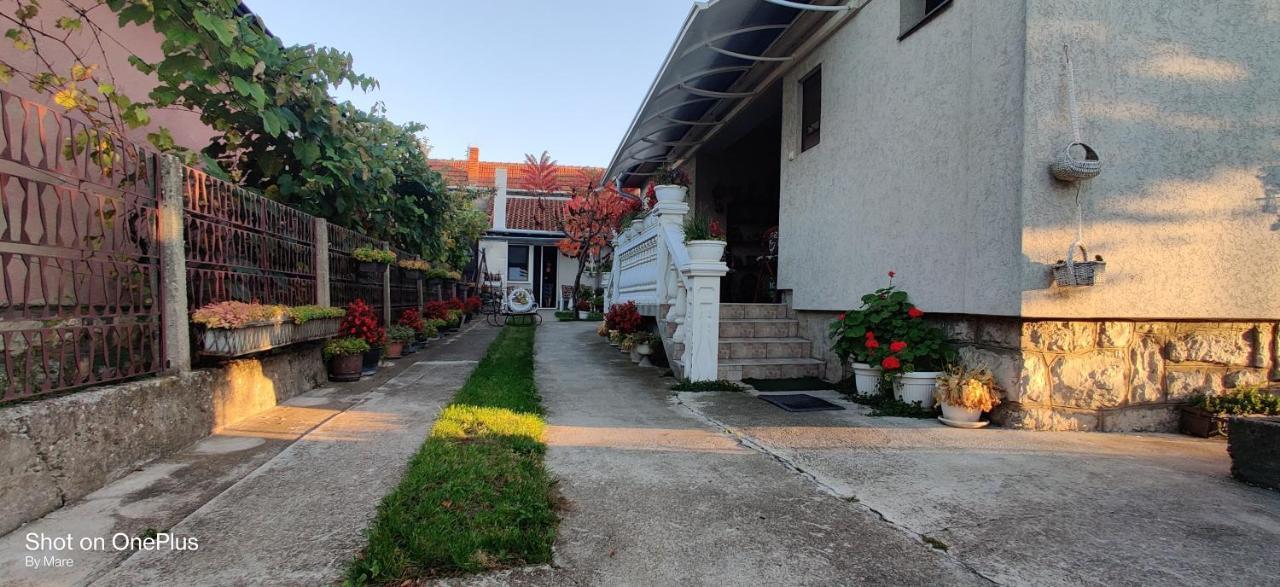 Apartman "Dom Stankovica" Pirot Zewnętrze zdjęcie